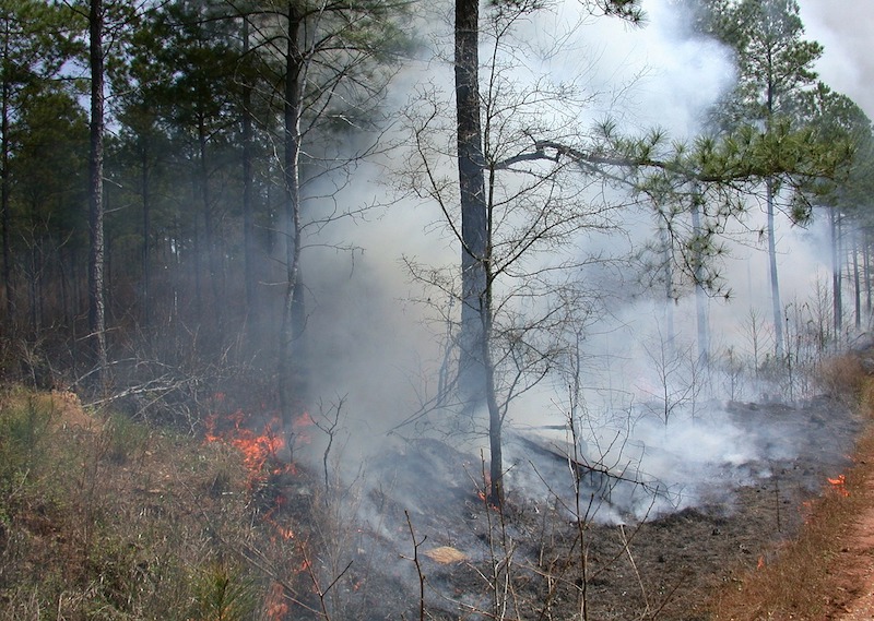 Pompierii ISU avertizeaza cu privire la incendiile de vegetatie uscata